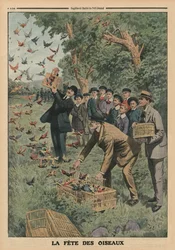 Il giorno degli uccelli, illustrazione di copertina posteriore da 
